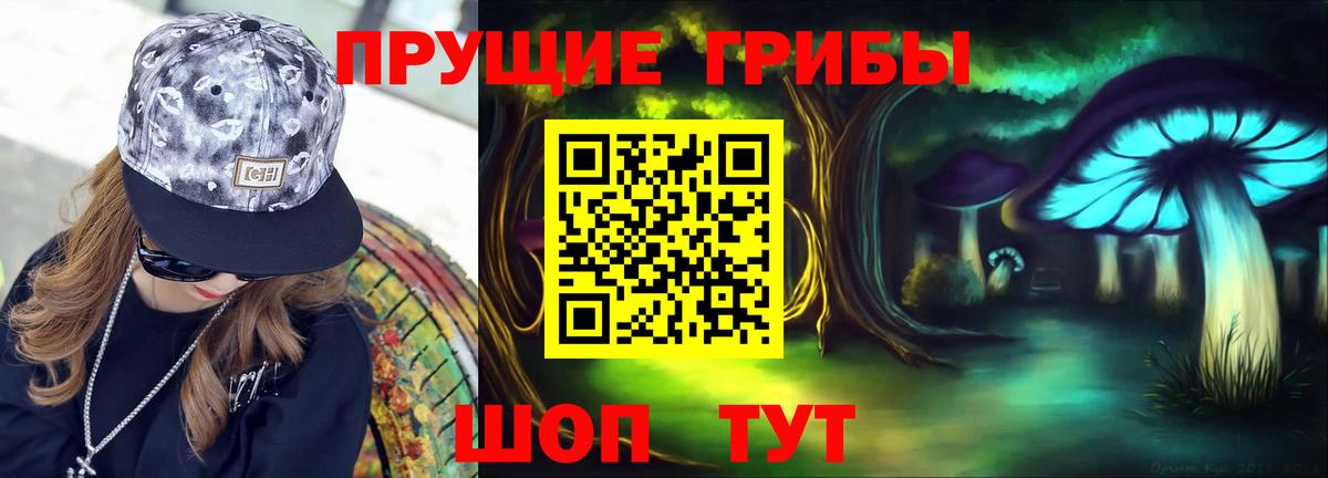 Псилоцибиновые грибы Cubensis Мичуринск